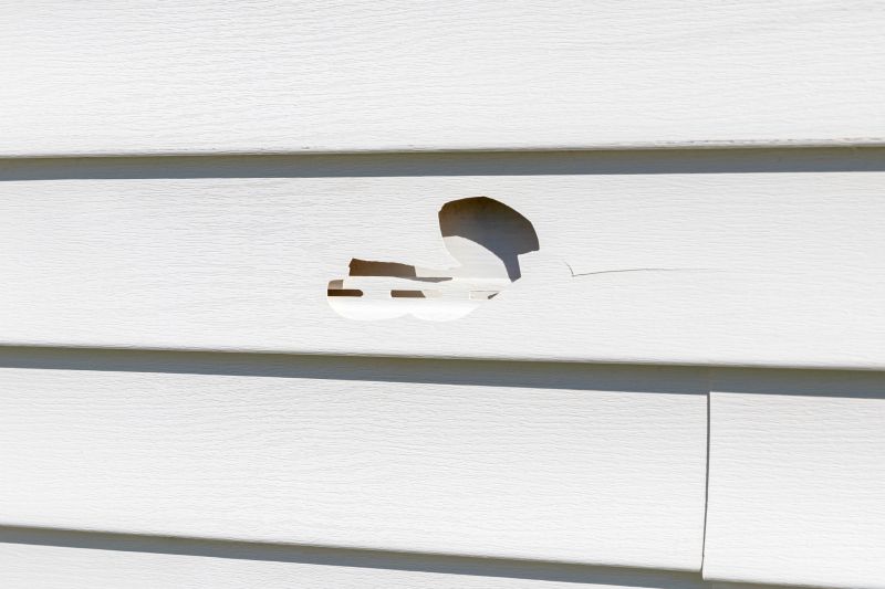 Damaged Siding Panels